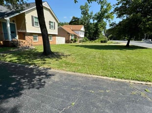 Randy B.'s grass maintenance service result