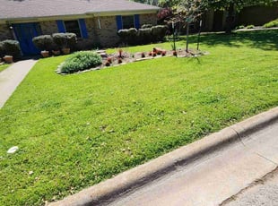 Diana G.'s grass cutting service result