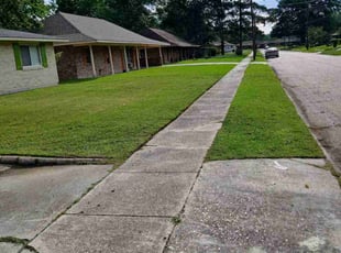 Kristi P.'s lawn service service result