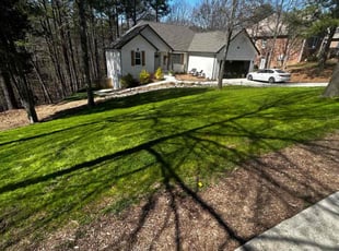 Sarah T.'s turf maintenance service result