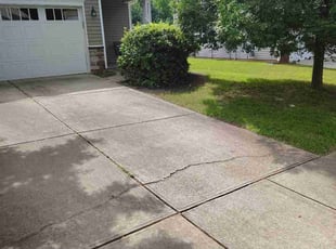 Josephine H.'s lawn maintenance service result