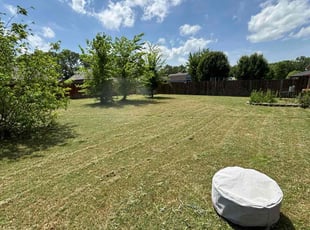 Matt D.'s grass cutting service result