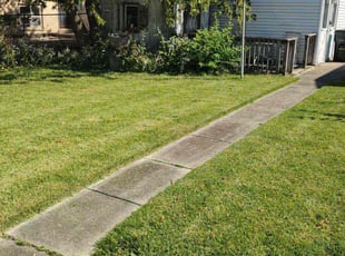 Brittany R.'s grass maintenance service result