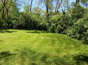 Bo B.'s lawn care services service result