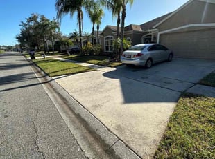 Iris R.'s turf care service result