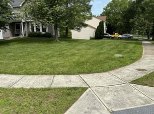 "Brittany M.'s lawn maintenance service result