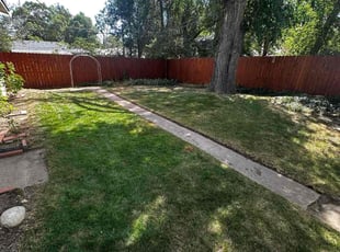 Elaina S.'s lawn maintenance service result