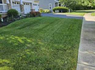 Heather G.'s turf care service result