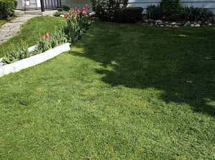 Jamie R.'s lawn care services service result