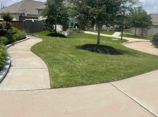 Cynthia T.'s lawn care service result