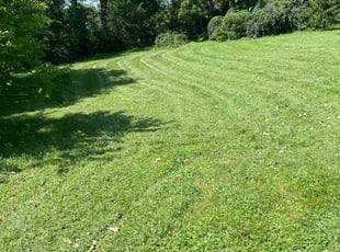 Jim A.'s grass maintenance service result