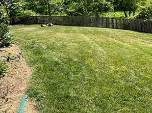 Bobby Z.'s turf care service result
