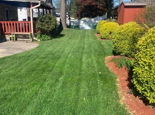 Johnny M.'s lawn care services service result