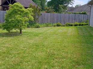 Angela T.'s grass cutting service result