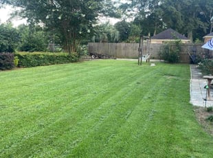 Wesley C.'s lawn maintenance service result