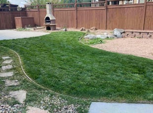 Gilberto A.'s lawn service service result
