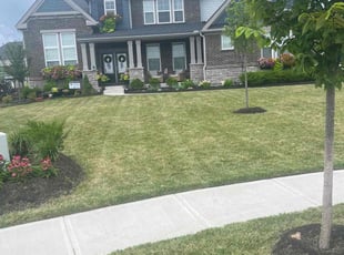 Kelvin O.'s turf maintenance service result