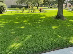 Gregory B.'s grass cutting service result
