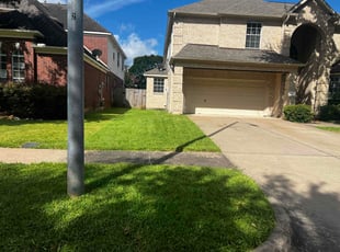 Carlos S.'s turf care service result