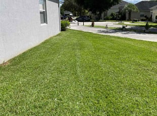 Staci B.'s lawn maintenance service result