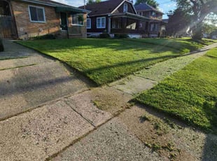 Joseph P.'s grass maintenance service result