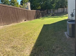Kandis M.'s turf maintenance service result