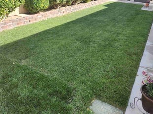 Elizabeth R.'s grass cutting service result