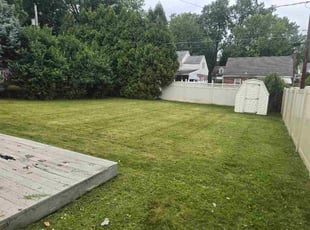 Maria B.'s turf care service result