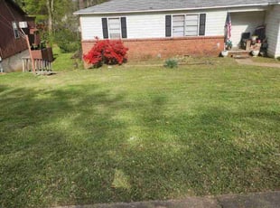 Charles B.'s Long Grass Cleanup service result