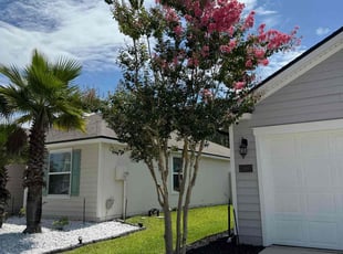 Tina J.'s Tree Trimming service result