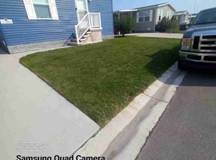 John H.'s turf maintenance service result