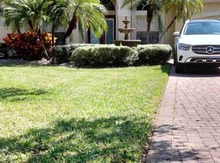 Carolyn R.'s grass maintenance service result