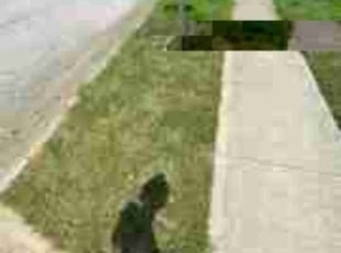 Tracey M.'s lawn care services service result