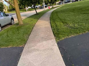 Cayla T.'s grass cutting service result