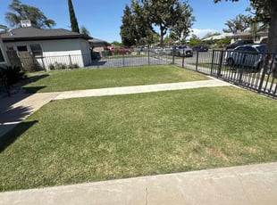 Kwincee L.'s grass maintenance service result
