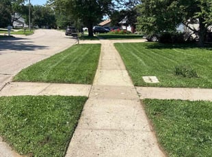 Jennifer B.'s lawn service service result