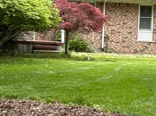 Tyrone G.'s lawn care services service result