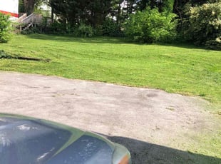 Mike J.'s lawn service service result