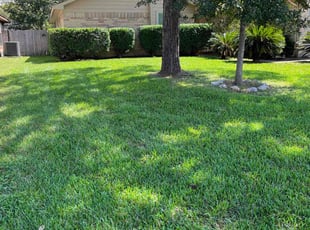Cindy L.'s yard maintenance service result