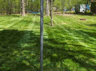 Mayda M.'s lawn maintenance service result