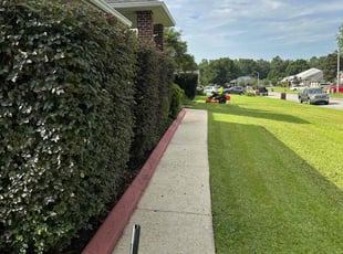 James M.'s Bush Trimming service result