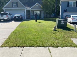 Rachel D.'s lawn maintenance service result