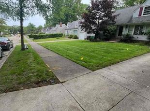 Joseph R.'s turf care service result