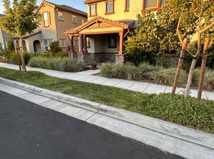 Caroll V.'s lawn care services service result