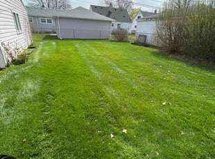 Sean R.'s grass cutting service result