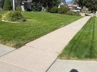 David H.'s lawn care services service result