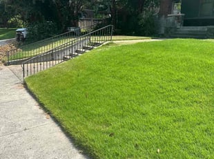 Max P.'s turf maintenance service result