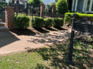 Latisha L.'s Bush Trimming service result