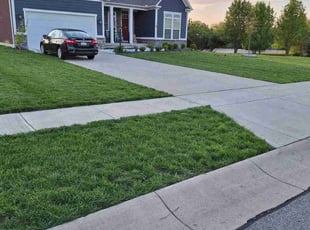 Ryan C.'s turf maintenance service result