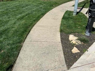 Jeanette A.'s lawn service service result